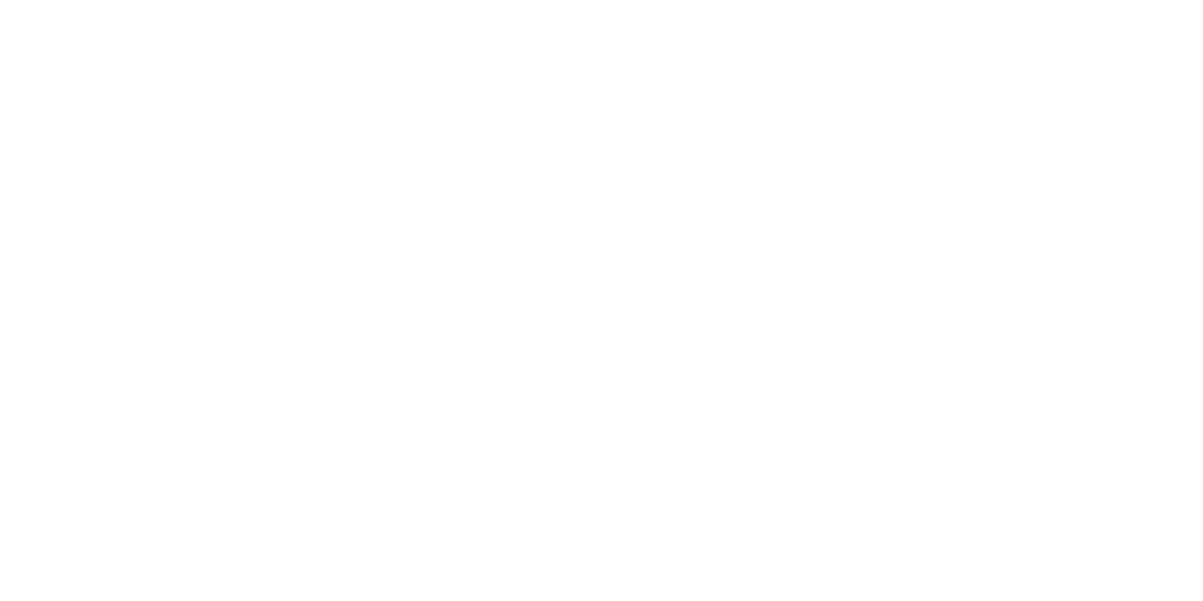 Learning Ship Logo